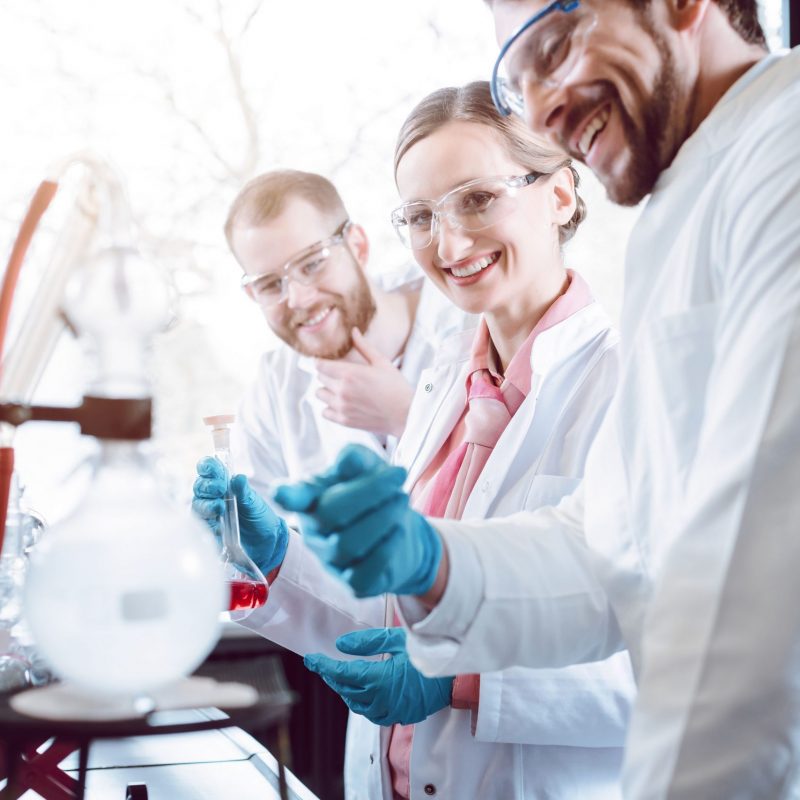 successful,scientists,working,as,a,team,in,the,laboratory